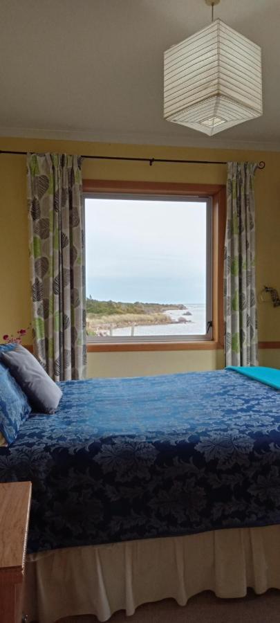 Surat Bay Lodge By The Sea/Backpackers Hostel Owaka Kültér fotó